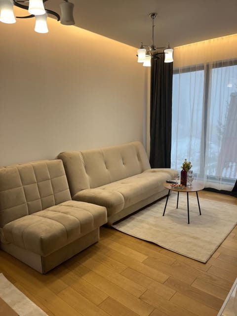 Winter House Apartment in Serbia