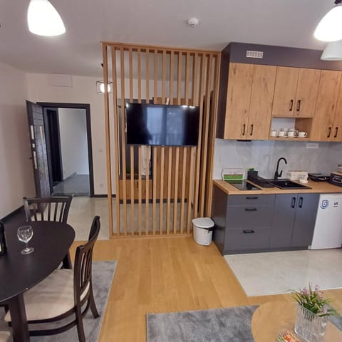 Winter House Apartment in Serbia