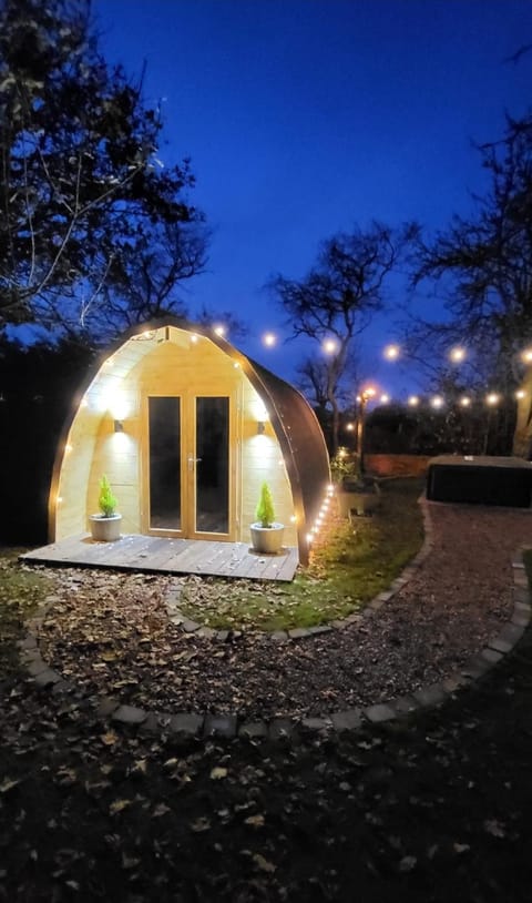 Property building, Night, Garden