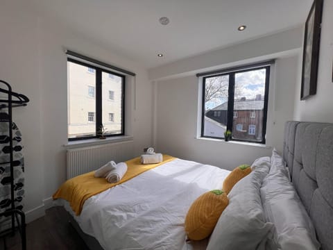 Kings Lodge By Nivaas 1 Apartment in Reading