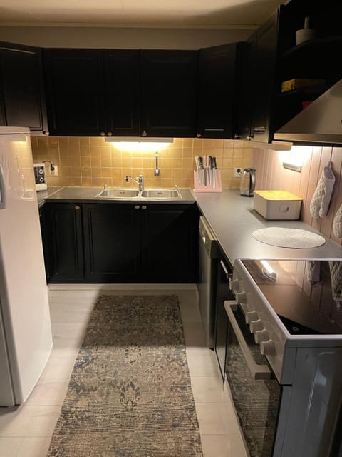 Kitchen or kitchenette, dishwasher, oven, stove