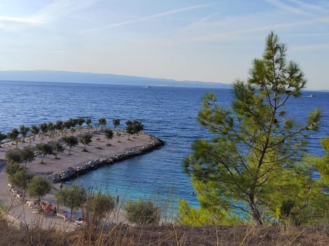 Spring, Natural landscape, Beach