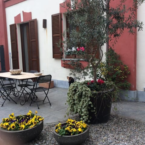 Patio, Facade/entrance, Garden