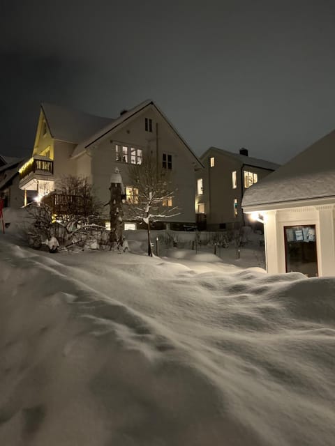 Central Apartment in Down Town Aurora villa Apartment in Tromso