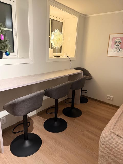 Central Apartment in Down Town Aurora villa Apartment in Tromso