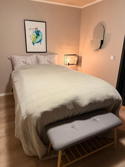 Central Apartment in Down Town Aurora villa Apartment in Tromso