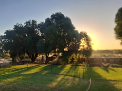 Natural landscape, Garden view
