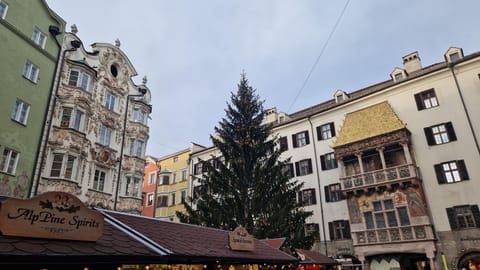 Innsbruck Historical City Appartement Goldenes Dachl Apartment in Innsbruck