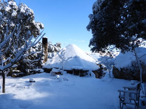 Natural landscape, Winter