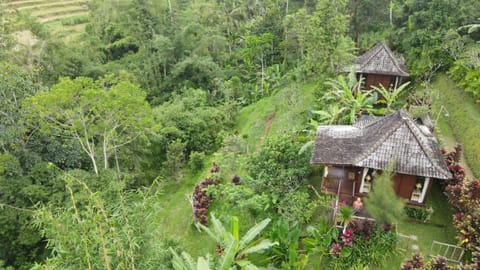 Property building, Natural landscape, View (from property/room)