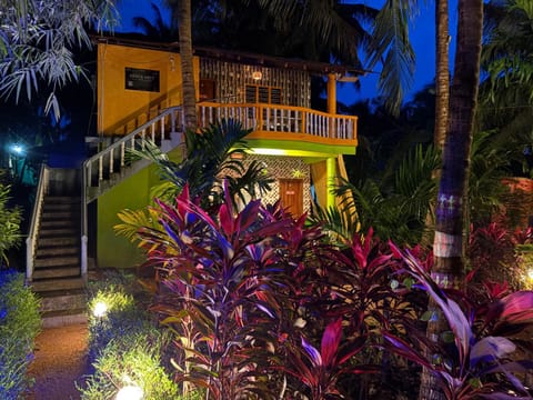 Property building, Night, Garden