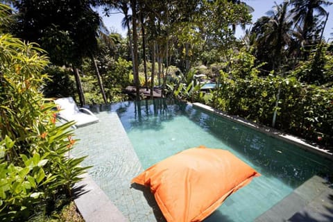 Natural landscape, Garden view, Pool view, Swimming pool, Swimming pool, sunbed
