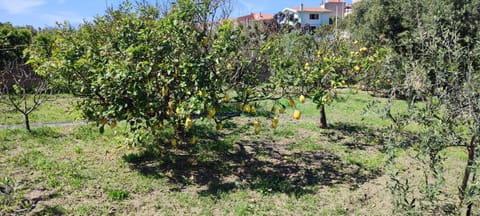 Garden relais House in Sardinia