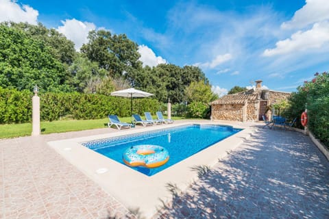 Pool view, Swimming pool, sunbed