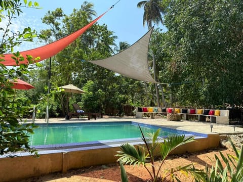 Swimming pool, sunbed