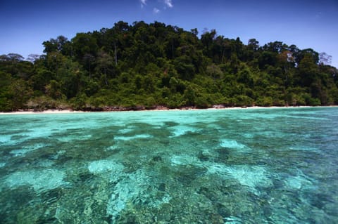 Snorkeling, Mountain view