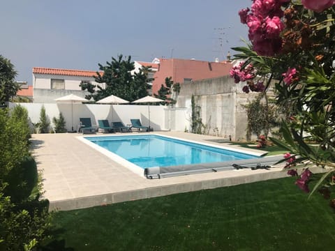Garden, Garden view, Pool view, Swimming pool, Swimming pool, sunbed