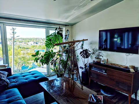 TV and multimedia, Living room
