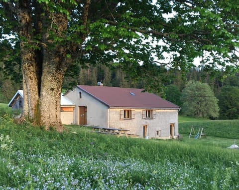 Property building, Spring, Natural landscape, Garden, Garden view