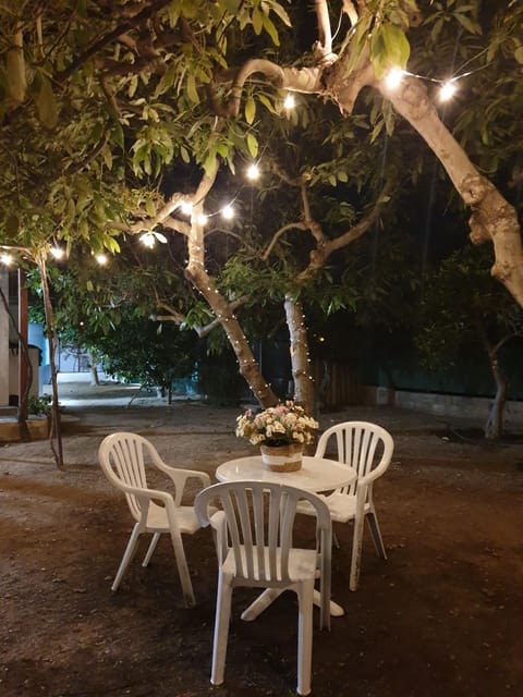 Patio, Night, Garden, Garden view