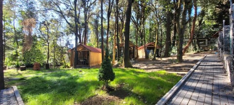 Natural landscape, Garden view
