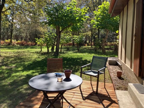 Patio, Garden