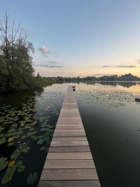 Lake view