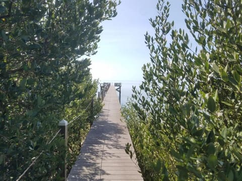 Whitman Point A Gulf Views House in Cedar Key