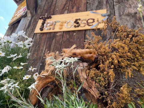 Landhuus Frauenkirch Inn in Davos