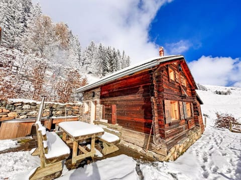 Property building, Natural landscape, Winter