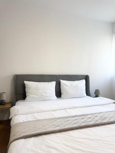 Le 9 - Basel Airport Apartment in Saint-Louis