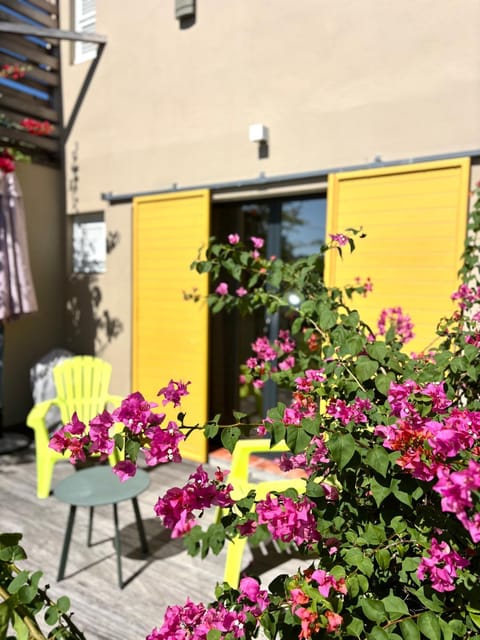 Patio, Garden