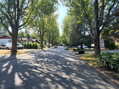 Neighbourhood, Street view, Location