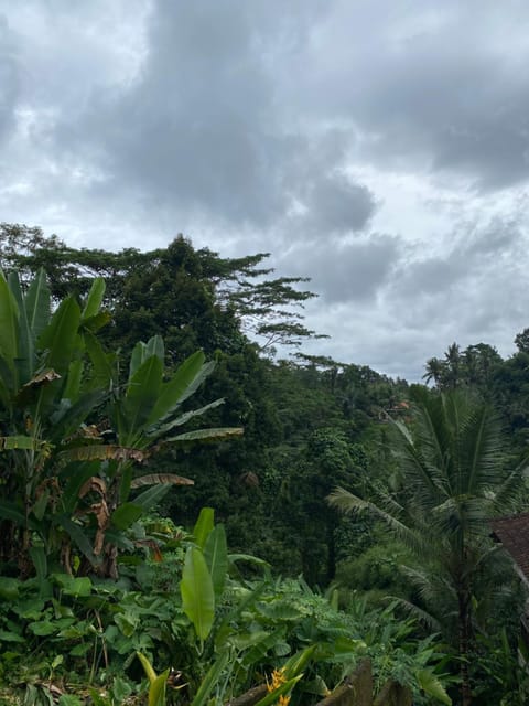 Widi's House with Ubud Jungle Lush View Apartment in Ubud