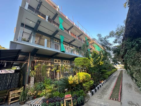 Property building, Spring, Day, Neighbourhood, Garden, Garden view, Street view