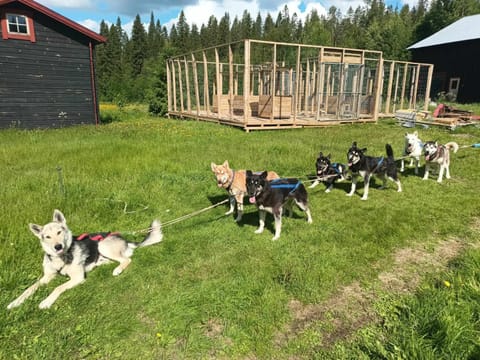 Natural landscape, Activities
