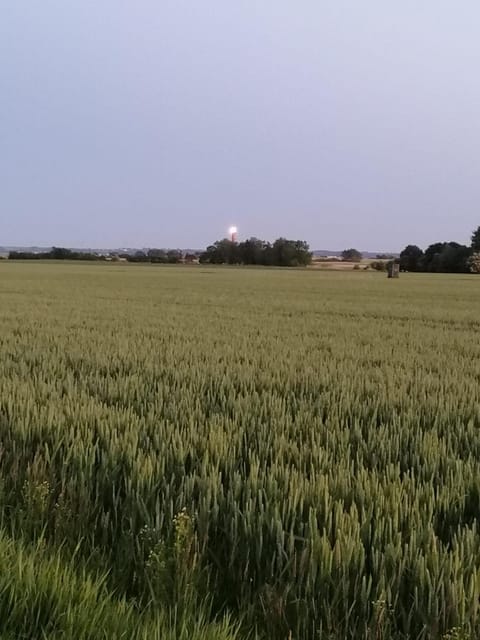 Ferienhaus kleiner Leuchtturm - Steuerbord Fehmarn Kopendorf - mit Garten und Terrasse House in Ostholstein