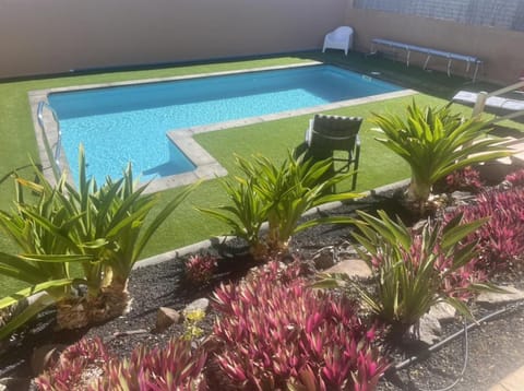 Day, Garden, Garden view, Pool view, Swimming pool, sunbed