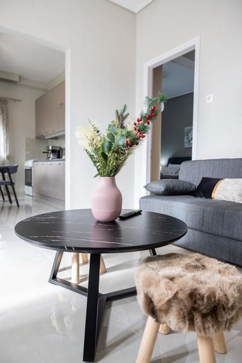 Valia's House Apartment in Kalabaka