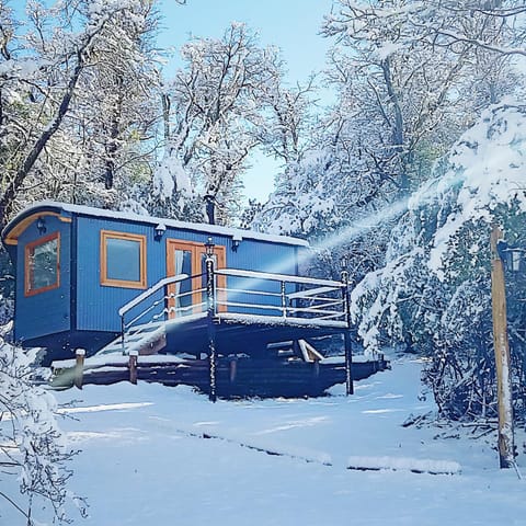 Property building, Natural landscape, Winter