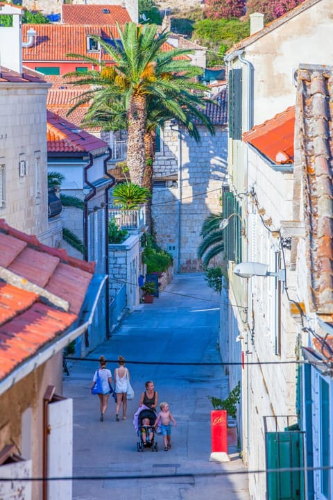 Villa Giardino Villa in Vis