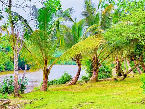 Day, Garden, Garden view, River view
