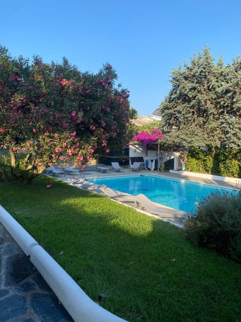 Garden, Solarium, Swimming pool