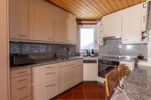 Kitchen or kitchenette, dishwasher, stove