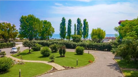 Garden, Garden view, Garden view