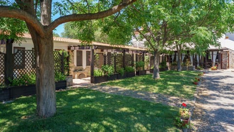 Property building, Garden, Garden, Garden view