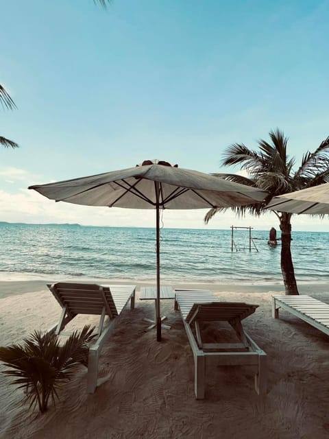 Natural landscape, Beach, sunbed