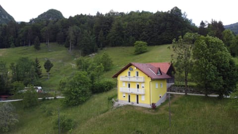 Property building, Summer