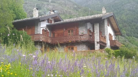 Property building, Spring, Day, Natural landscape