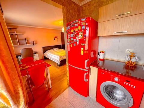 Kitchen or kitchenette, washing machine